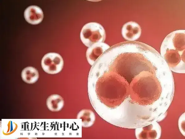 试管婴儿促排失败原因有几种