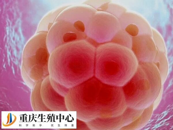 胚胎移植对子宫内膜厚度是有一定要求