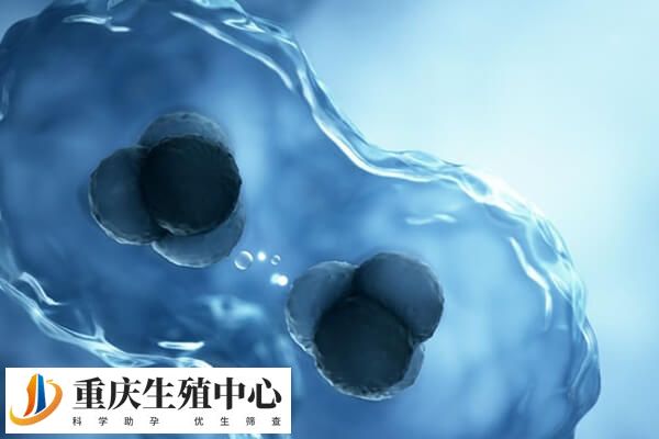 卵巢不排卵会影响生育