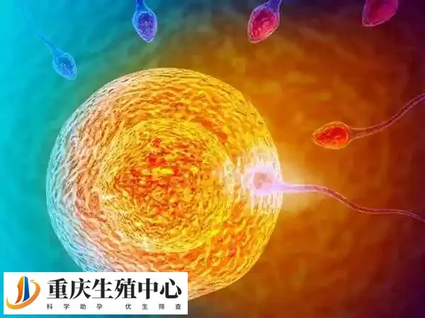 网球肘本身不会直接影响怀孕