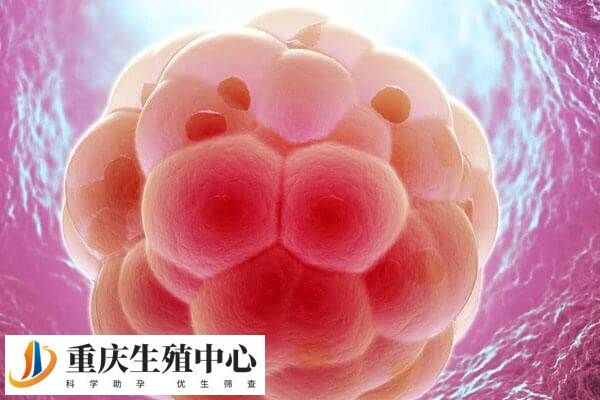 胚胎移植是试管婴儿中非常重要的环节
